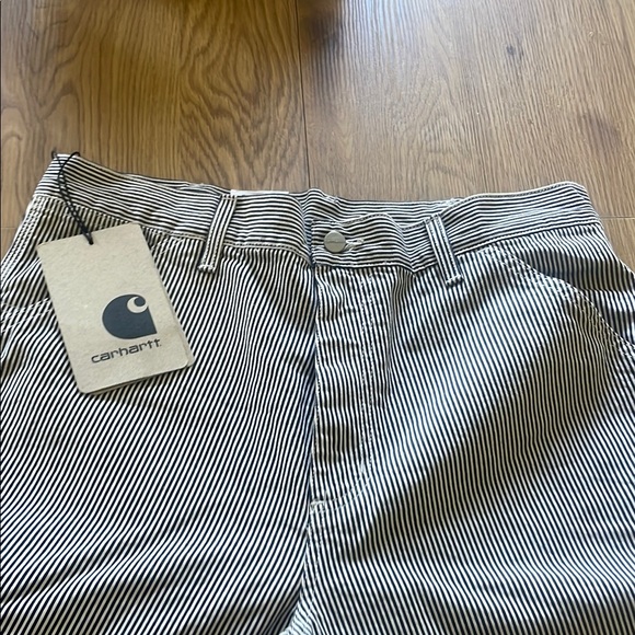 Carhartt Single Knee Striped Pants - Picture 5 of 12